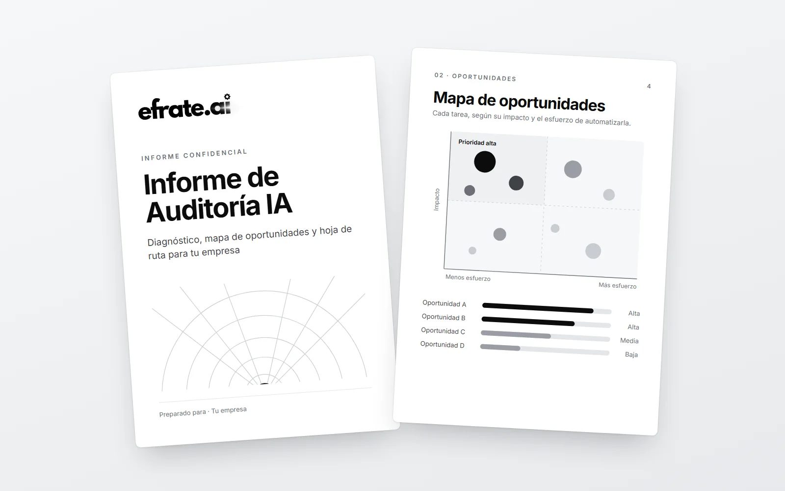 Ejemplo del informe de auditoría de IA de Efrate.ai